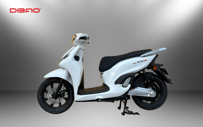 Xe máy điện Dibao LS007